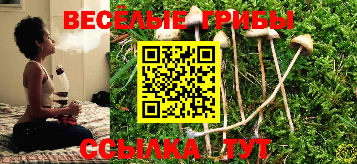Псилоцибиновые грибы Magic Shrooms  Псилоцибиновые грибы Magic Shrooms  Вход с VPN  Якутск 